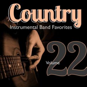 收聽Hit Crew Masters的Wall in Your Heart (Instrumental Version)歌詞歌曲