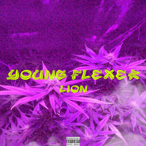 Listen to Lion (Explicit) song with lyrics from Young Flexer