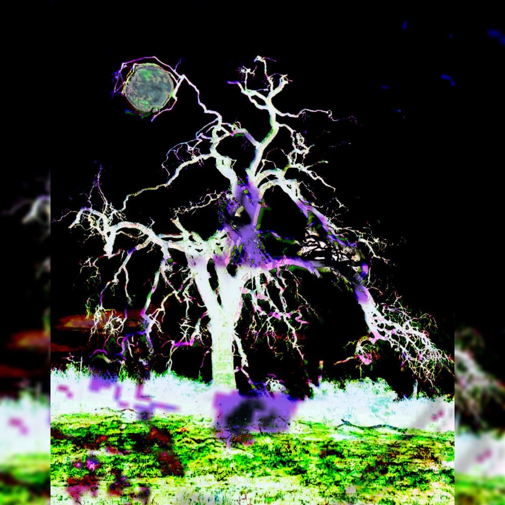 fenrir's symphony (Explicit)