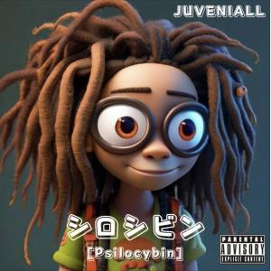 收聽Juveniall的Psilocybin (Explicit)歌詞歌曲