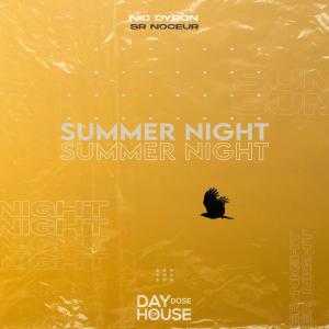 ดาวน์โหลดและฟังเพลง Summer Night พร้อมเนื้อเพลงจาก Nic Dyron