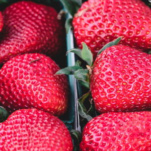 อัลบัม Fruits ศิลปิน Fruity Flavor