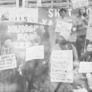 ดาวน์โหลดและฟังเพลง Windrush พร้อมเนื้อเพลงจาก Jelly Cleaver