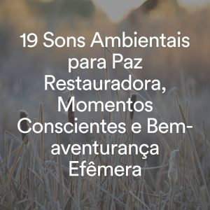 Album 19 Sons Ambientais para Paz Restauradora, Momentos Conscientes e Bem-aventurança Efêmera from Musicoterapia