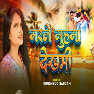 Album Marle Muhma Dekhmi from 