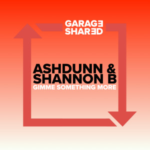 Shannon B的專輯Gimme Something More
