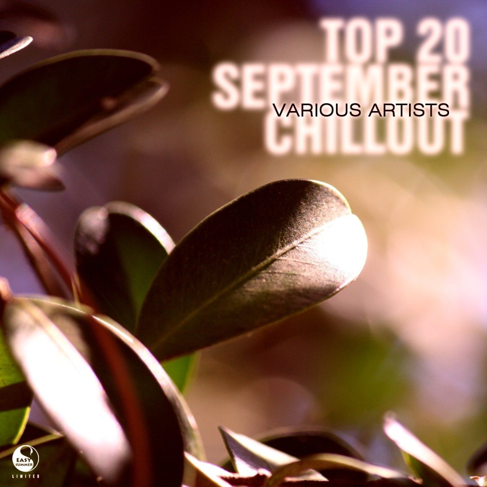 It's on My Mind (Christos Fourkis Remix)