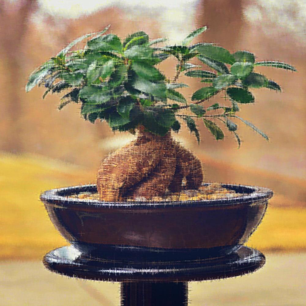 Bonsai (Explicit)