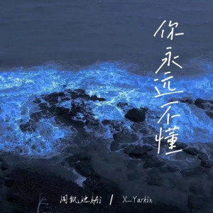 Listen to 你永远不懂 (完整版) song with lyrics from X-Yarkin