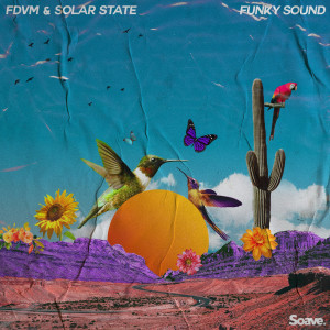 Listen to Funky Sound song with lyrics from FDVM