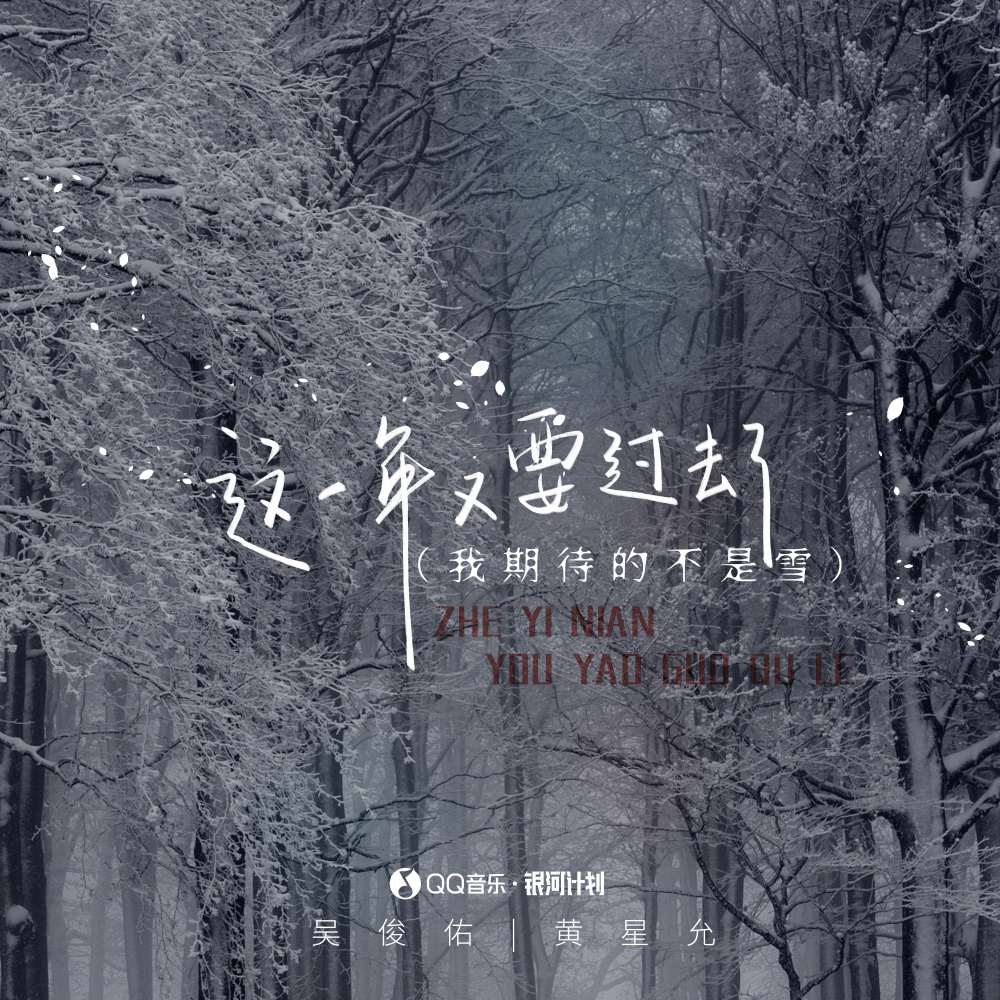 这一年又要过去了 (我期待的不是雪) (伴奏)