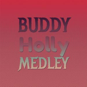 ดาวน์โหลดและฟังเพลง Havin' A Party พร้อมเนื้อเพลงจาก Johnny Maestro & Brooklyn Bridge