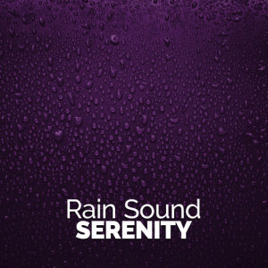 ดาวน์โหลดและฟังเพลง Night Rain พร้อมเนื้อเพลงจาก Rain Sounds & Nature Sounds