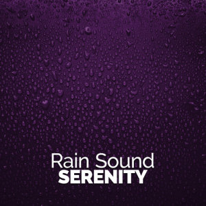 ดาวน์โหลดและฟังเพลง Wet Window พร้อมเนื้อเพลงจาก Rain Sounds