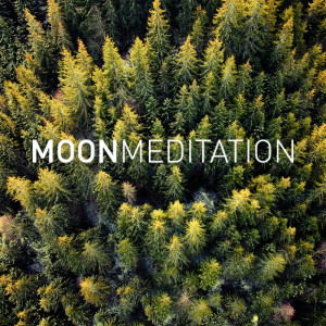 Moon Meditation的專輯Dreamland Melodies