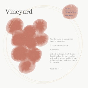 Yoon Ji的專輯Vineyard