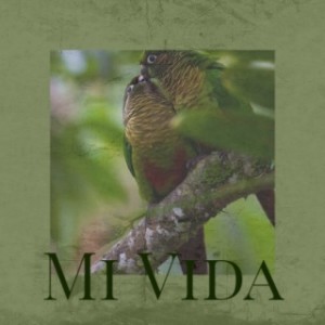 收听dick haymes的Mi Vida歌词歌曲