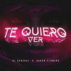 收聽Dj General的Te quiero ver (Explicit)歌詞歌曲