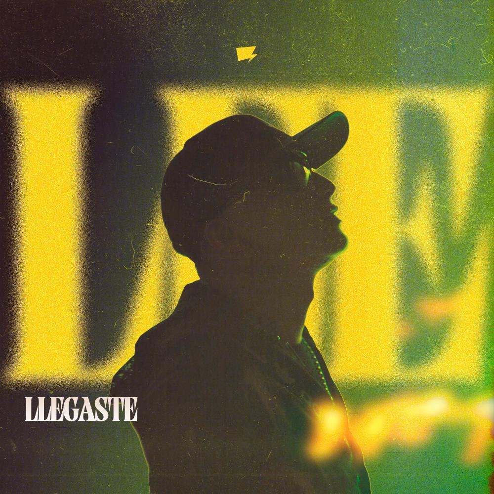 Llegaste