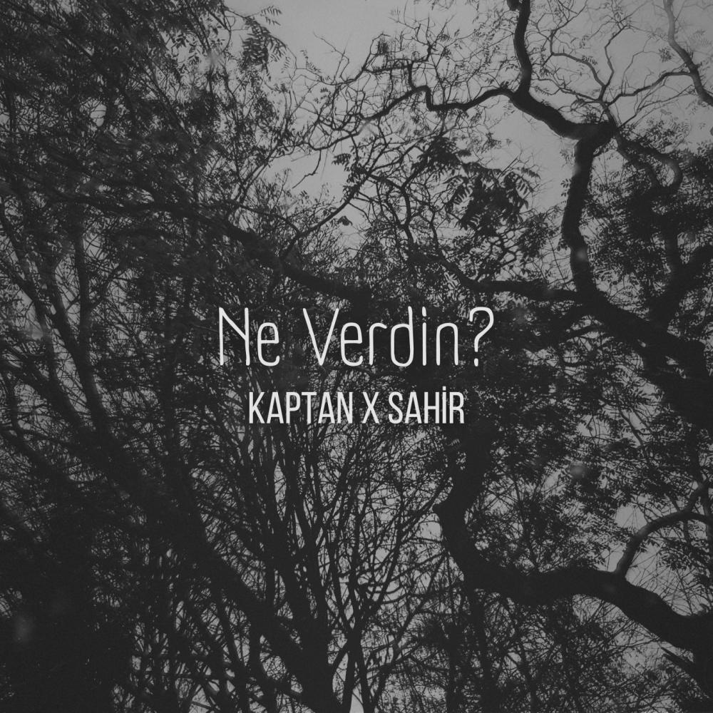 Ne Verdin? (feat. Sahir)