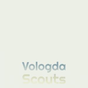 Various的专辑Vologda Scouts