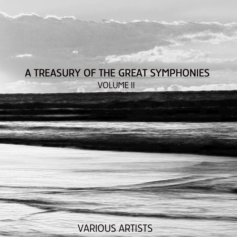 Symphony No. 5 In D, Op. 47: II. Allegretto