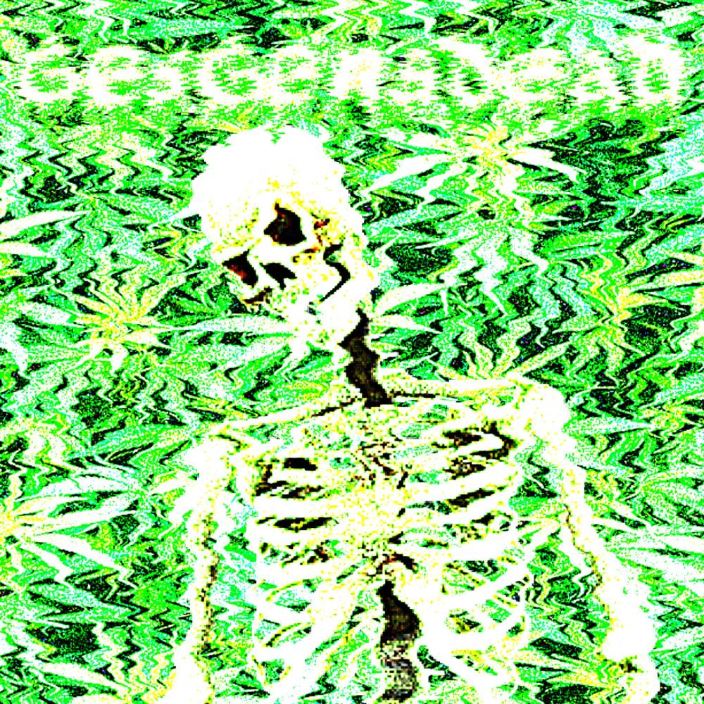 Dying In The Kush Field