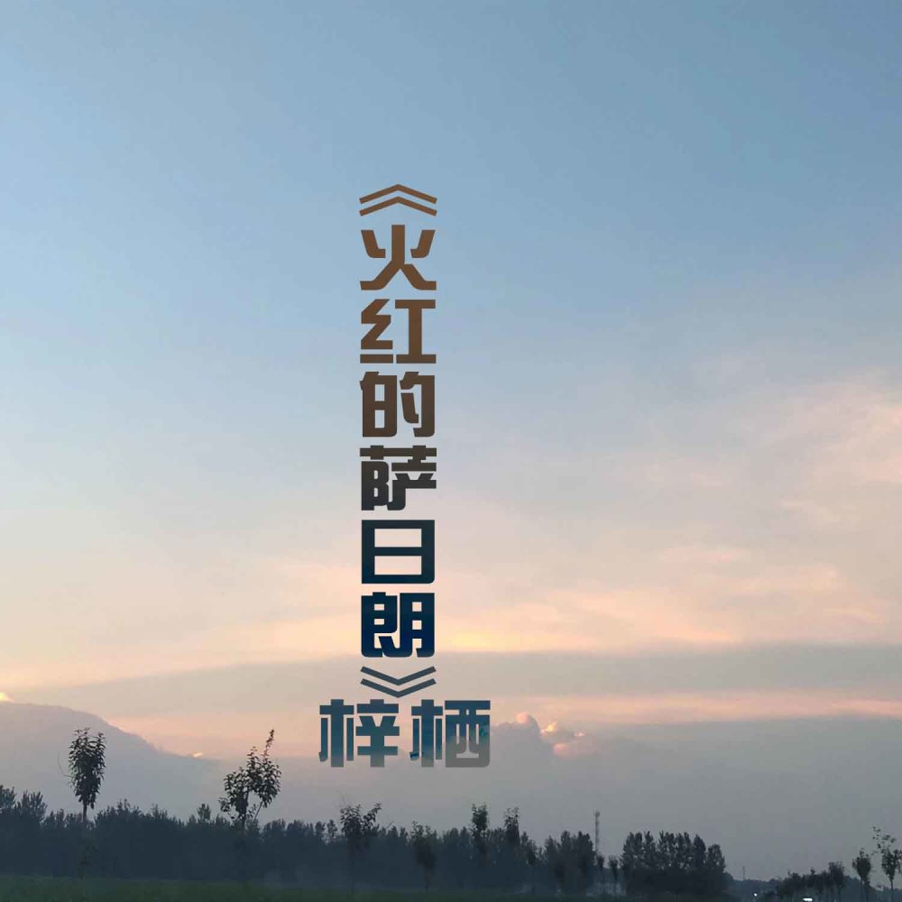 我的梦 (抖音版)