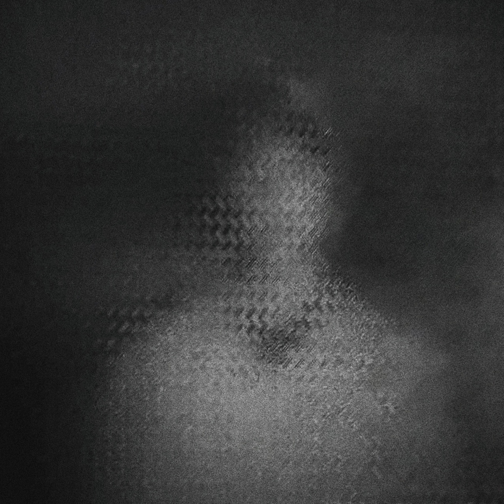 profile (Prod. entoy)