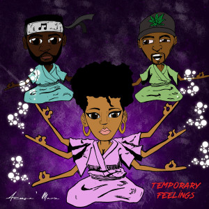 Listen to Temporary Feelings (Explicit) song with lyrics from Aneesa' Marie
