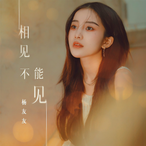收听杨友友的相见不能见歌词歌曲
