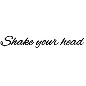 Listen to Shake your head song with lyrics from DJ多多
