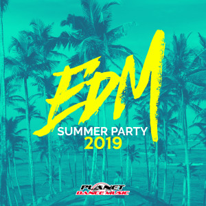 อัลบัม EDM Summer Party 2019 ศิลปิน Various