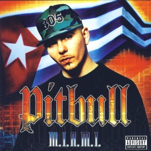 ดาวน์โหลดและฟังเพลง Hurry Up And Wait พร้อมเนื้อเพลงจาก Pitbull
