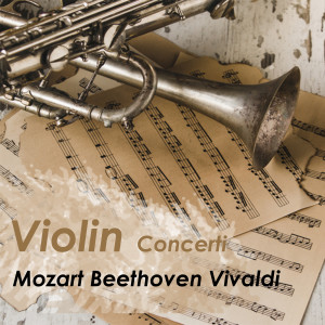 收聽Sony Fisher的Vivaldi concerto for violin and stringorchestra nº1 (Allegro ma con forza)歌詞歌曲
