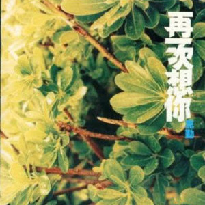 ดาวน์โหลดและฟังเพลง Xie Wo Shen Qing พร้อมเนื้อเพลงจาก 李克勤