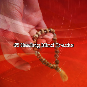 收聽Meditation Zen Master的Grace歌詞歌曲