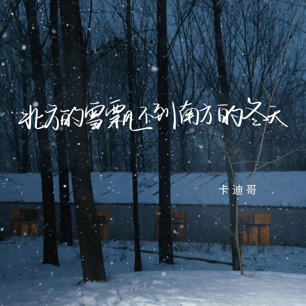 北方的雪飘不到南方的冬天 (DJ电仔版伴奏)