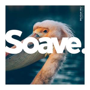 收聽farfetch'd的Pelican Bej歌詞歌曲