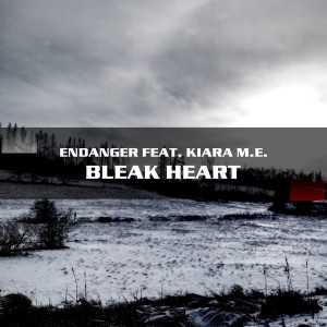 Listen to Bleak Heart song with lyrics from Endanger