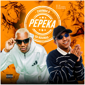 ดาวน์โหลดและฟังเพลง Carimba a Pepeka da Novinha (Explicit) พร้อมเนื้อเพลงจาก MC GW