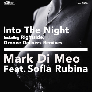 收聽Mark Di Meo的Into The Night (Groove Delivers Dub)歌詞歌曲