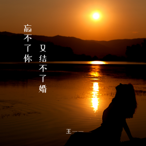 อัลบัม 忘不了你又结不了婚 ศิลปิน 王一一