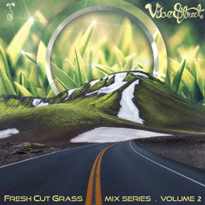 Listen to Fresh Cut Grass Mix Series, Vol. 2 song with lyrics from Vibe Street