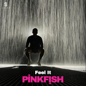 PinkFish的專輯Feel It