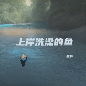 Album 上岸洗澡的鱼 from 张辉