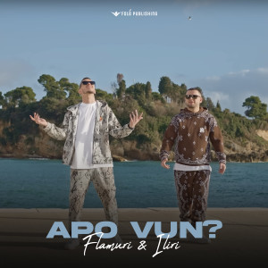 Album APO VUN? from Flamuri