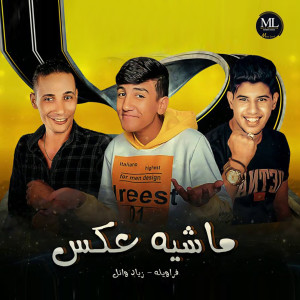 收聽Ziad Wael的ماشيه عكس歌詞歌曲