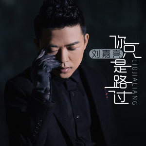 Album 你只是路过 from 刘嘉亮