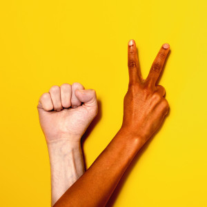 Dengarkan How Many (Explicit) lagu dari Oy dengan lirik